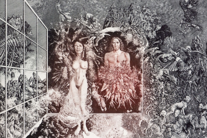 Альбин Бруновски Альбин Бруновски