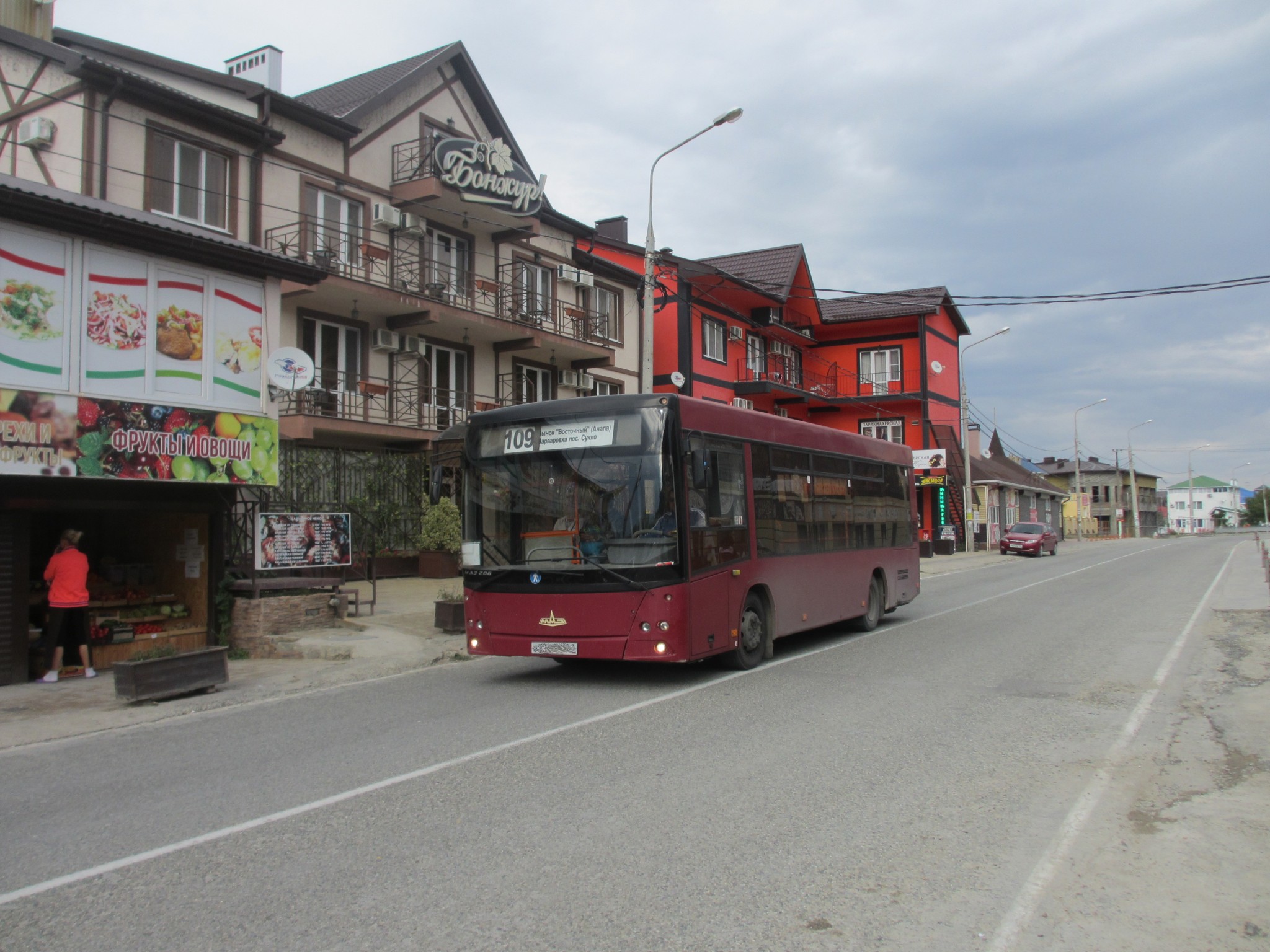 avtobus-109-v-sukko