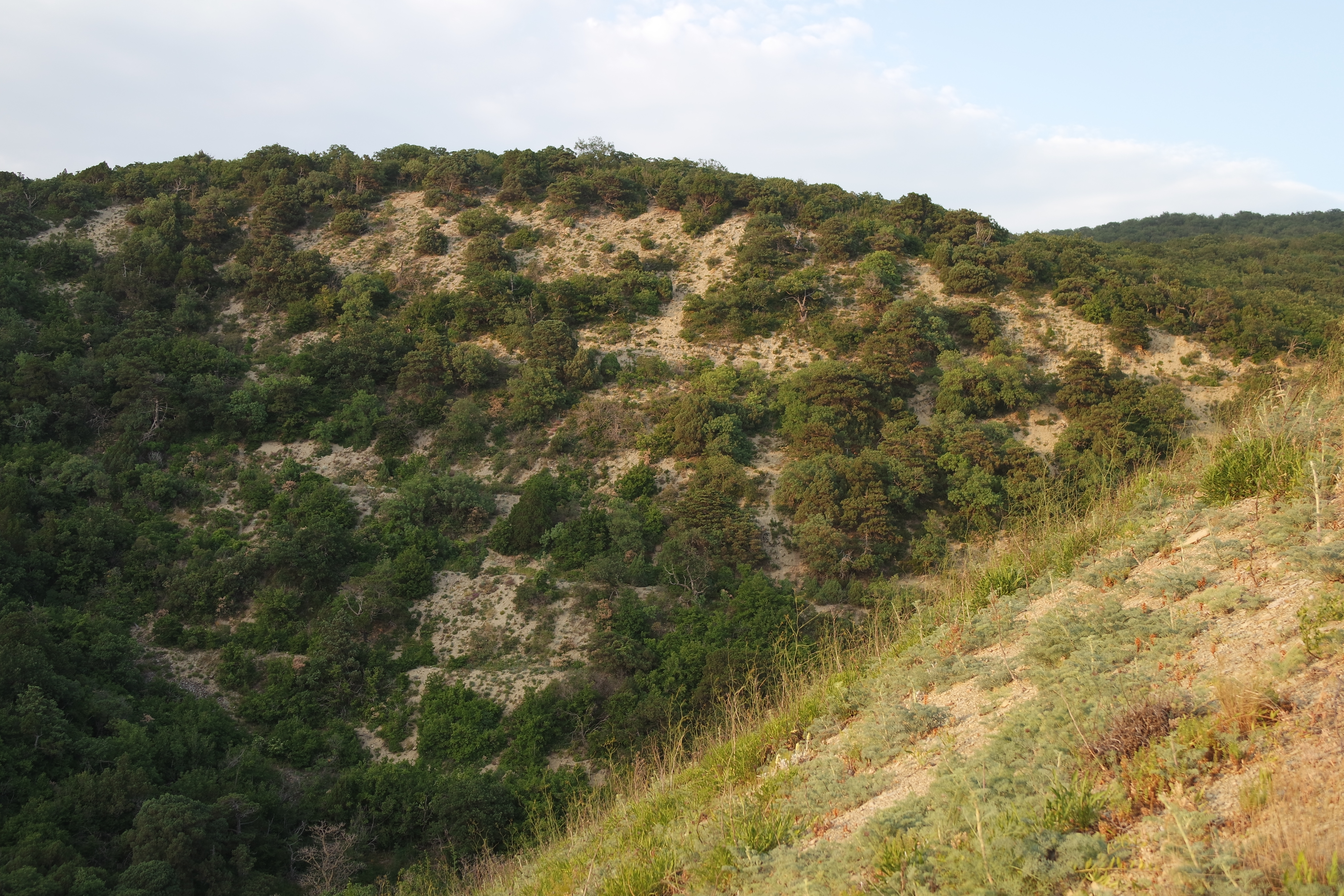 gori-nachalo-kavkaza