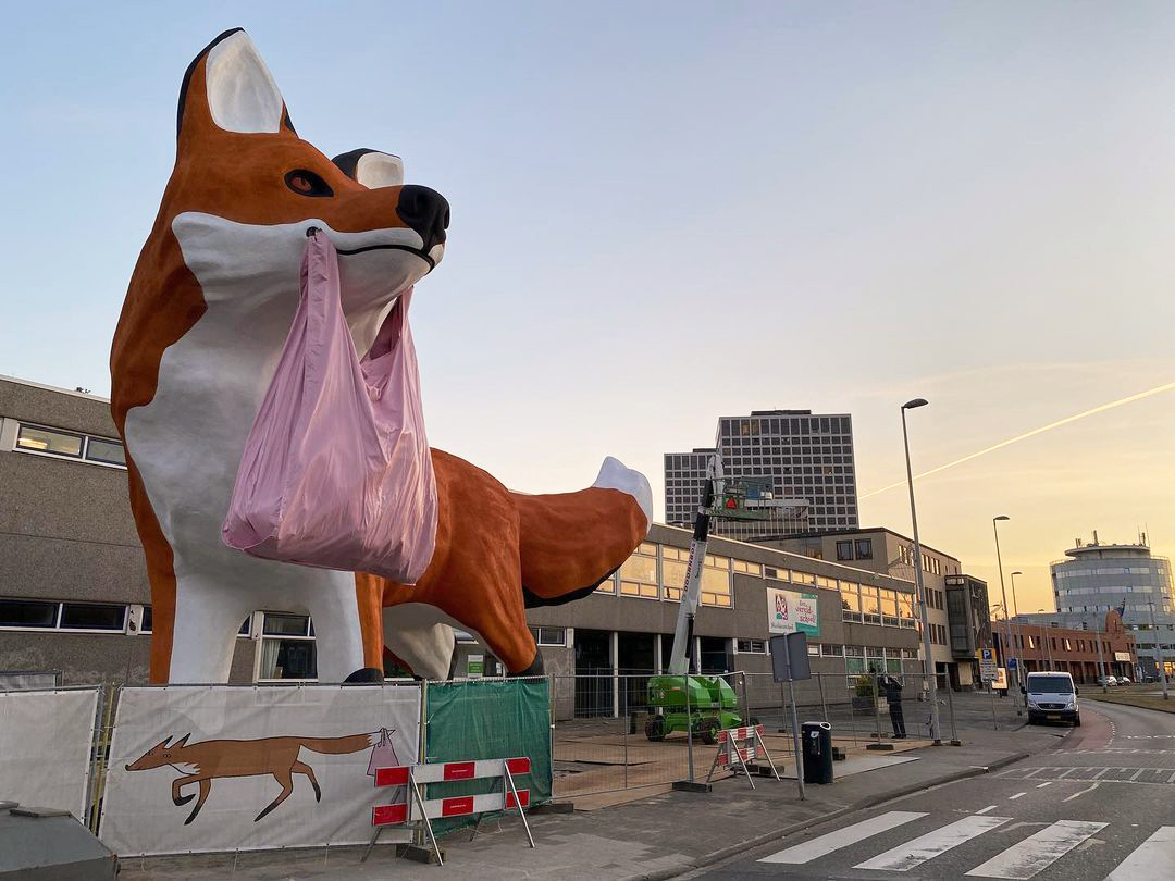 Bospolder-Fox-rotterdam