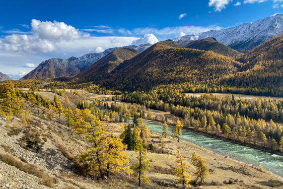 chemalskiy-rayon-altay