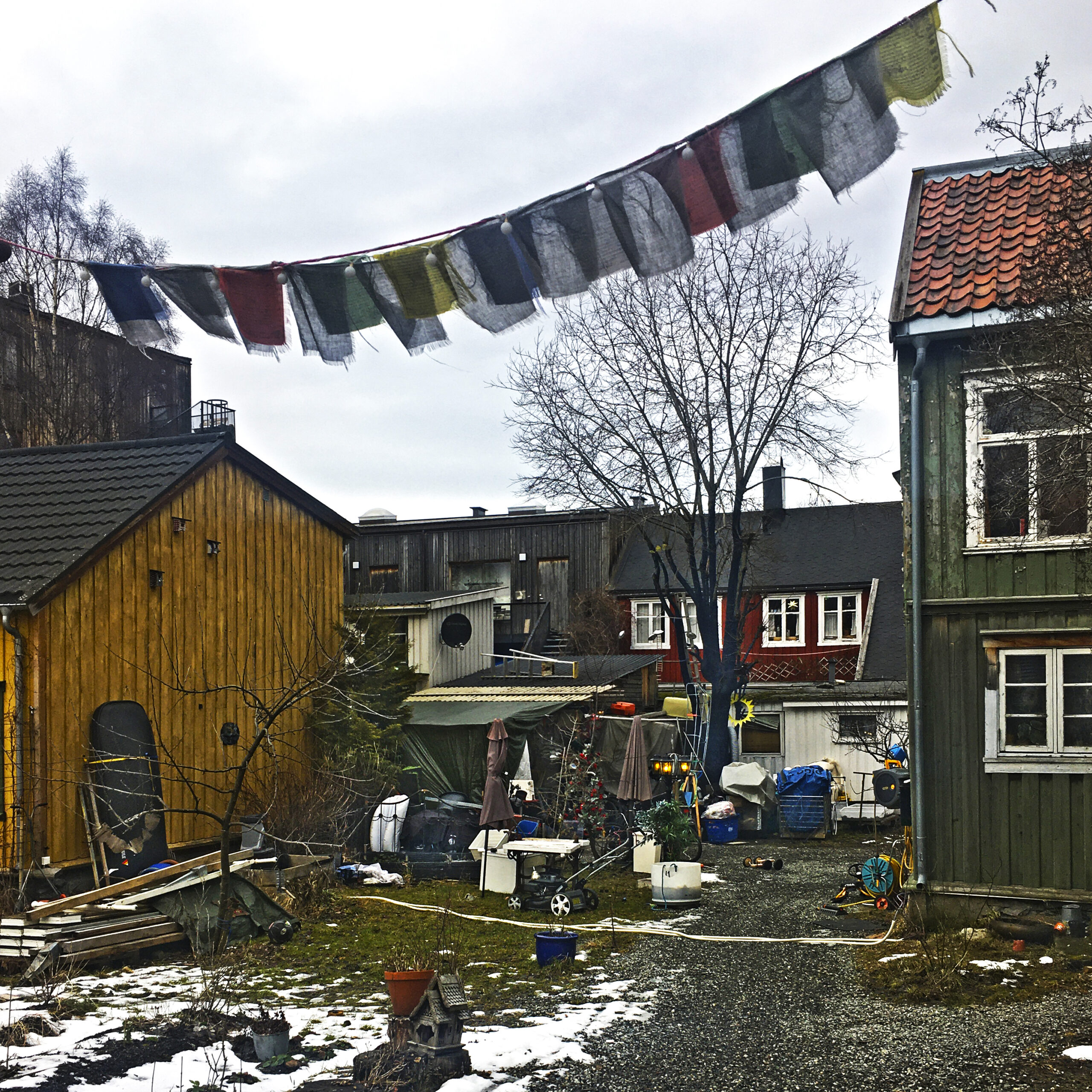norvegia-tronheim-svartlamon-doma