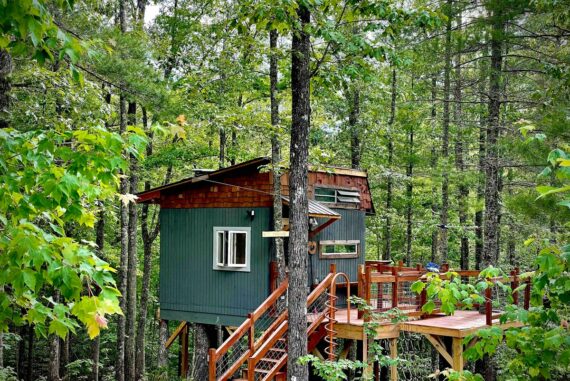 Eli's-Treehouse-dom-na-dereve